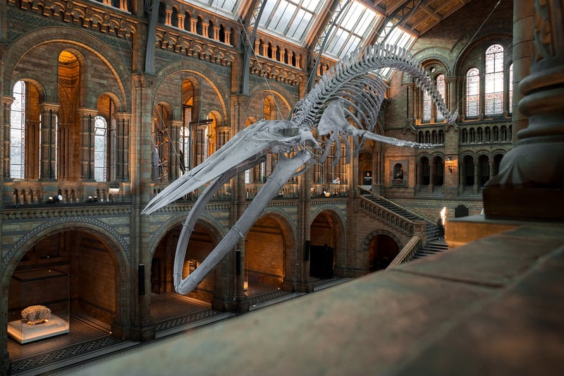 Interactive Museum